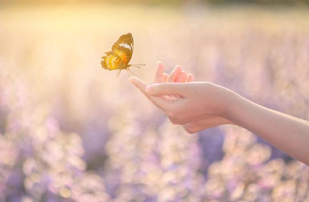 The Pause + Meditation Golden Flame of Illumination June 3rd 7.00pm MST